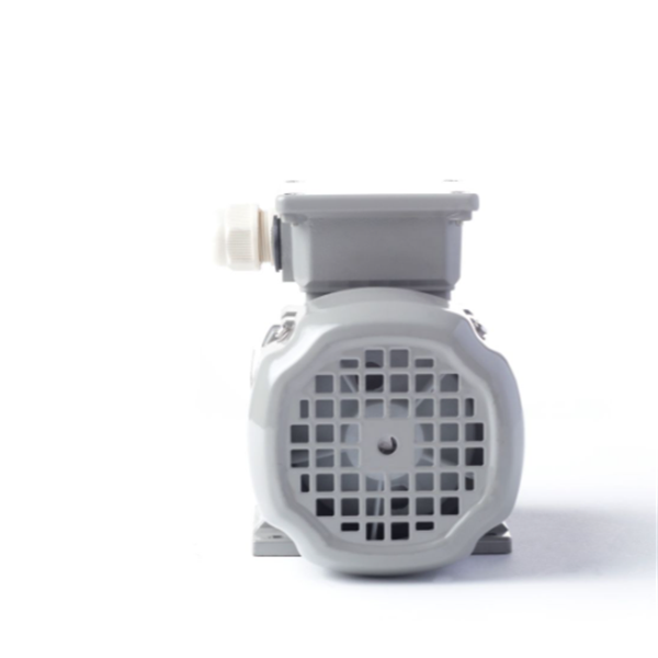 德國AC MOTOREN三相異步雙速電機(jī)AC10L2400003