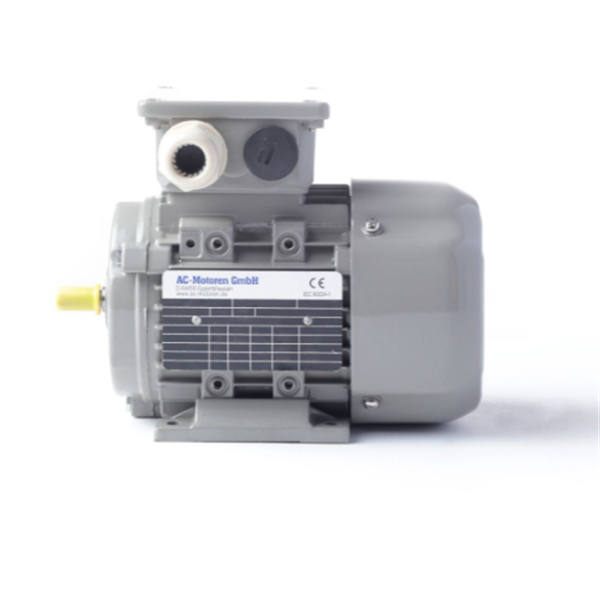 德國AC MOTOREN三相異步雙速電機(jī)AC10L2400003