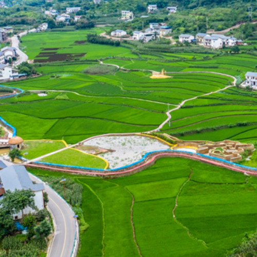 中農發(fā)種業(yè)集團股份有限公司.jpg