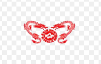 13.png